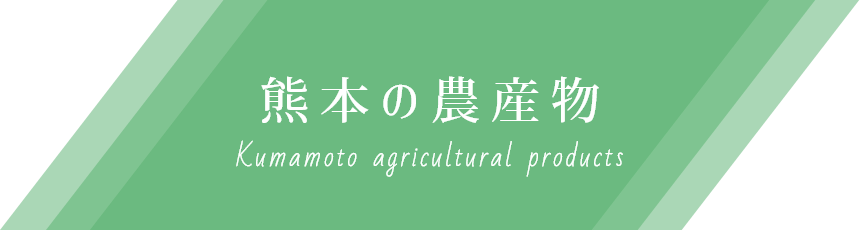 熊本の水産物