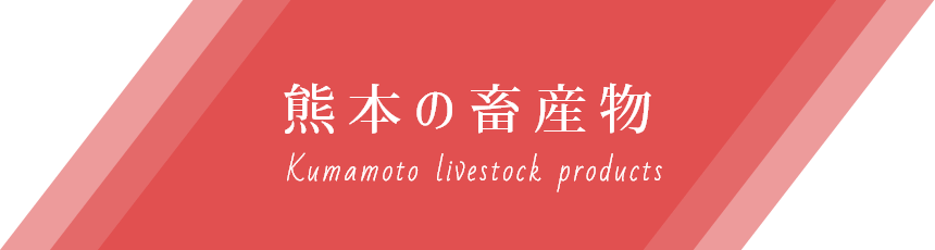 熊本の水産物