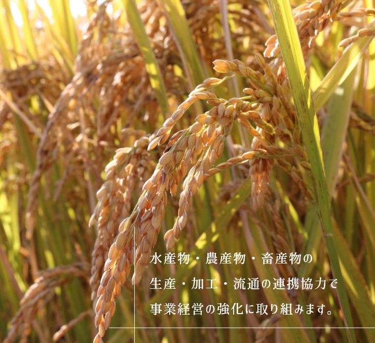水産物・農産物・畜産物の生産・加工・流通の連携協力で事業経営の強化に取り組みます。